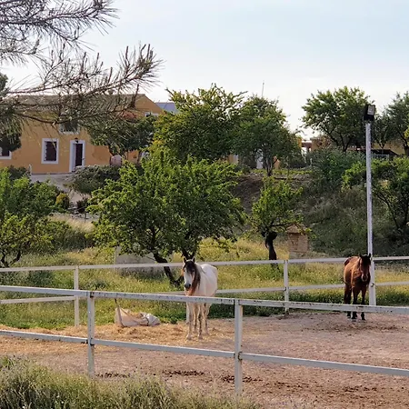 Complejo Rural Lomas De *