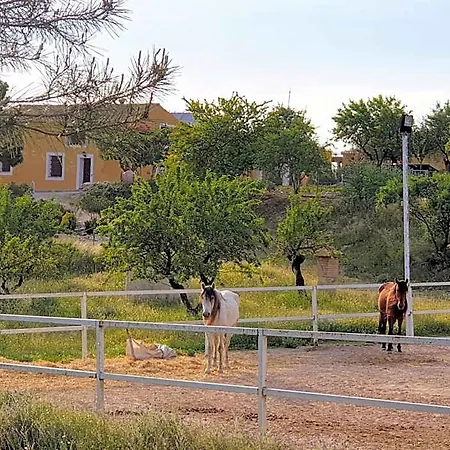 Hotel Complejo Rural Lomas De Biar