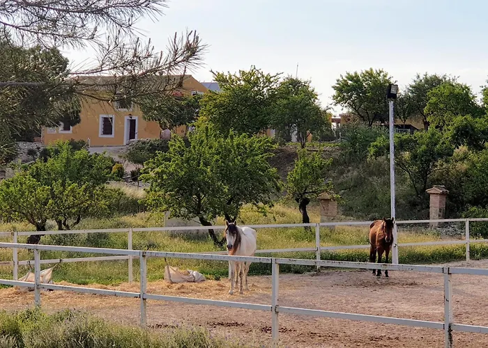 Complejo Rural Lomas De *
