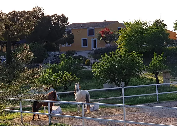 Отель Complejo Rural Lomas De *